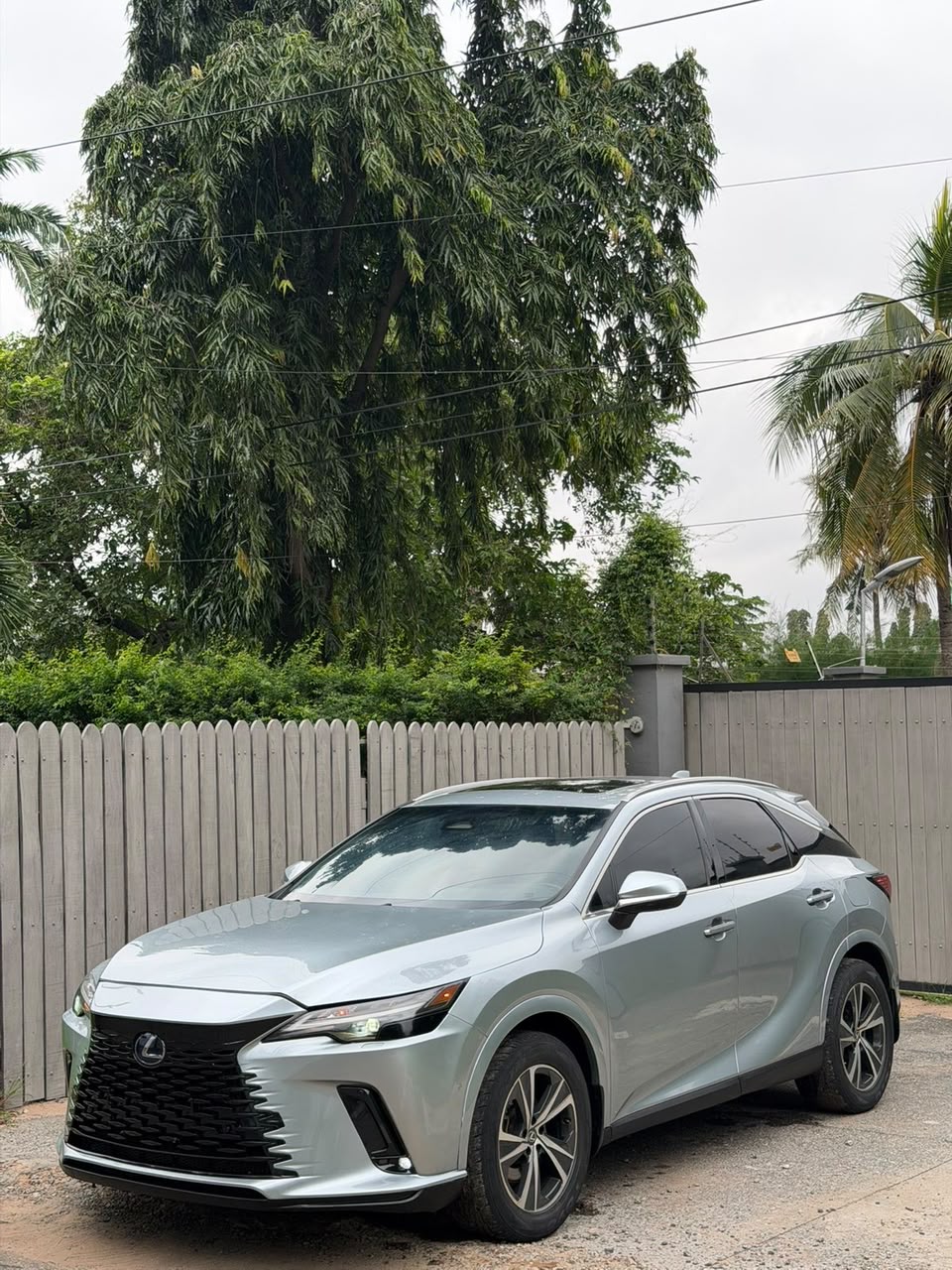 LEXUS RX 350H 2024 - Image 6